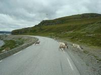 DSC04758 &ndash; &copy; Mandy Fischer (Eberhardt TRAVEL)