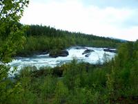 Malselvfossen &ndash; &copy; Steffen Mucke (Eberhardt TRAVEL)