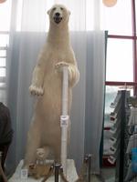 Am Polarkreis &ndash; &copy; Steffen Mucke (Eberhardt TRAVEL)