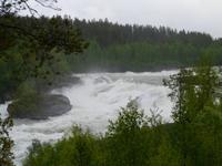Målselvfossen &ndash; &copy; Mandy Fischer (Eberhardt TRAVEL)