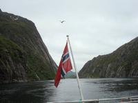 Kein Adler :-( &ndash; &copy; Mandy Fischer (Eberhardt TRAVEL)