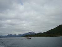 Warum sind die Seeadler an diesem Boot :-( &ndash; &copy; Mandy Fischer (Eberhardt TRAVEL)