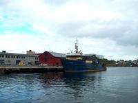 Honingsvag &ndash; &copy; Steffen Mucke (Eberhardt TRAVEL)