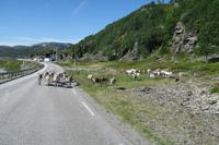 IMG_3309 &ndash; &copy; Norbert Birner (Eberhardt TRAVEL)