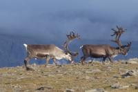 &copy; Norbert Birner (Eberhardt TRAVEL)