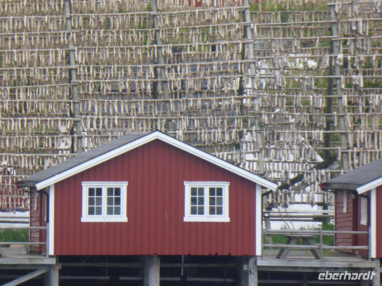 Svolvaer - Stockfischgestell &ndash; &copy; Claudia Bernhardt (Eberhardt TRAVEL)