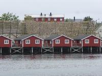 Svolvaer - Stockfischgestell &ndash; &copy; Claudia Bernhardt (Eberhardt TRAVEL)