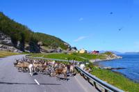 137 am Altafjord &ndash; &copy; Konrad Füssel (Eberhardt TRAVEL)