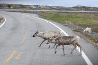 040-Olderfjord &ndash; &copy; Dirk Schlosser (Eberhardt TRAVEL)