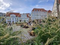 Am Marktplatz &ndash; &copy; Wolfgang Eckert (Eberhardt TRAVEL)