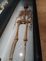 Im Vasamuseum &ndash; &copy; Wolfgang Eckert (Eberhardt TRAVEL)