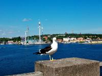 Stockholm  &ndash; &copy; Steffen Mucke (Eberhardt TRAVEL)