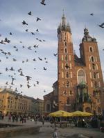 Krakau, Rynek mit Marienkirche