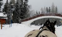 Mit PferdestÃ€rken durch Strbske Pleso &ndash; &copy; Marion Kottlos (Eberhardt TRAVEL)