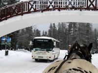 Mit PferdestÃ€rken durch Strbske Pleso &ndash; &copy; Marion Kottlos (Eberhardt TRAVEL)
