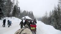 Mit PferdestÃ€rken durch Strbske Pleso &ndash; &copy; Marion Kottlos (Eberhardt TRAVEL)