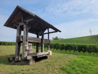 0309 Weingut Zlati Gric &ndash; &copy; Jörg Nesse (Eberhardt TRAVEL)