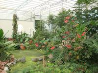 Der Garten unter Glas