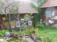 Bienenmuseum &ndash; &copy; Kerstin Hugel (Eberhardt TRAVEL)