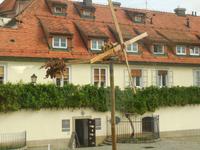 Maribor Älteste Weinstock Europas &ndash; &copy; Kerstin Hugel (Eberhardt TRAVEL)
