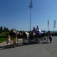 Hochzeit &ndash; &copy; Kerstin Hugel (Eberhardt TRAVEL)
