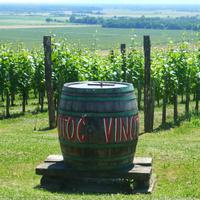 weingut Urisk &ndash; &copy; Kerstin Hugel (Eberhardt TRAVEL)