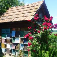 Bienenmuseum &ndash; &copy; Kerstin Hugel (Eberhardt TRAVEL)