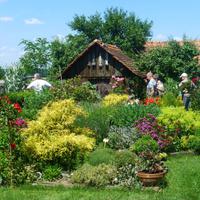Bienenmuseum &ndash; &copy; Kerstin Hugel (Eberhardt TRAVEL)