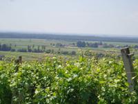 Weingut Urisk &ndash; &copy; Kerstin Hugel (Eberhardt TRAVEL)