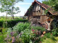 Bienenmuseum