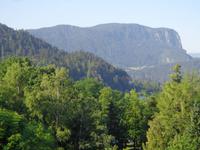 Bled