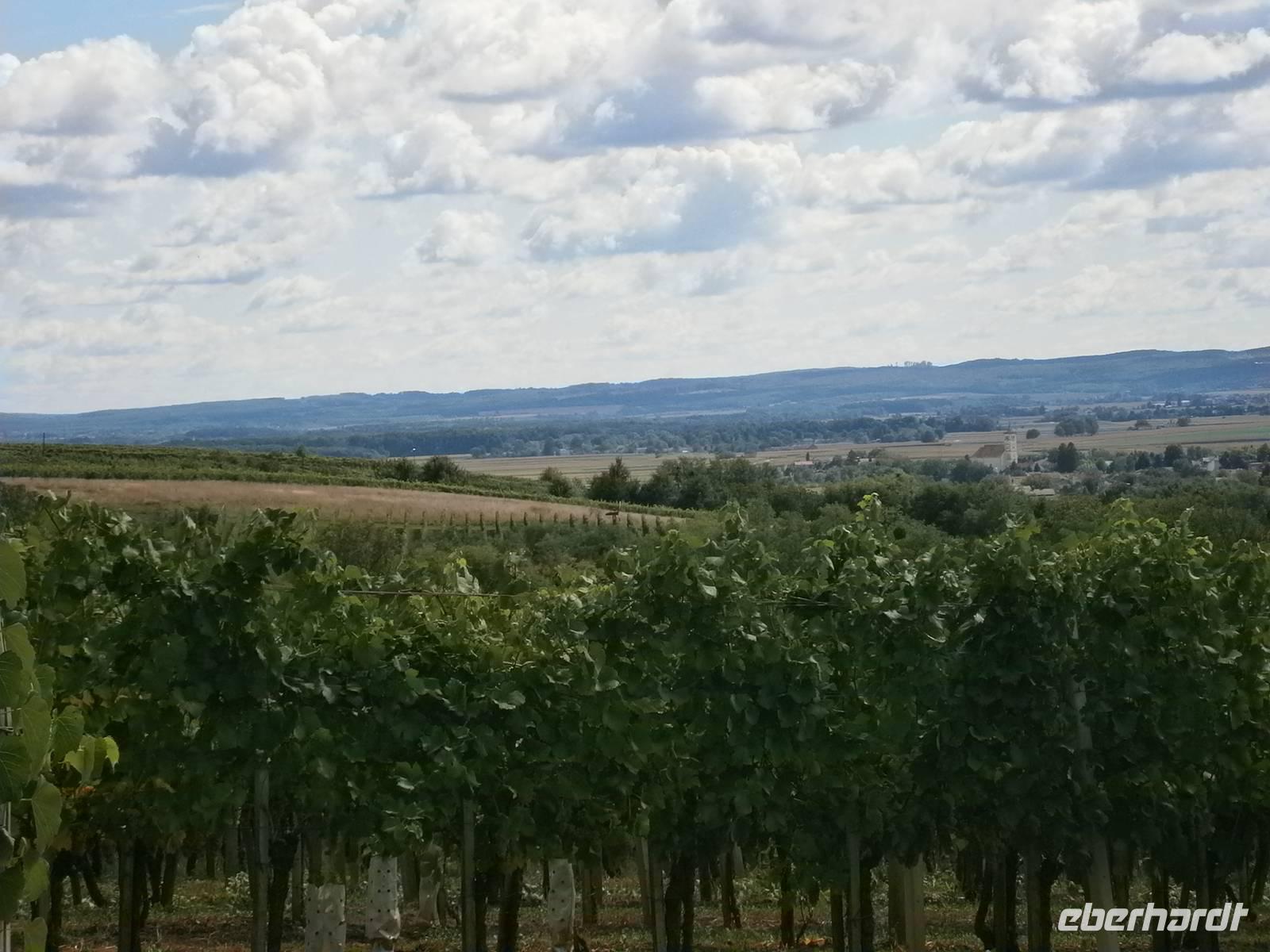 Weinberge &ndash; &copy; Kerstin Hugel (Eberhardt TRAVEL)