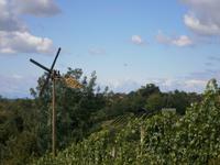 Weinberge &ndash; &copy; Kerstin Hugel (Eberhardt TRAVEL)