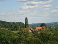 Südsteirische Weinstraße &ndash; &copy; Kerstin Hugel (Eberhardt TRAVEL)