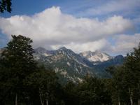 Berg Vogel &ndash; &copy; Kerstin Hugel (Eberhardt TRAVEL)