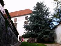 Burg von Ptuj &ndash; &copy; Angelika Werner (Eberhardt TRAVEL)