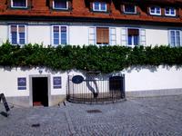 ältester Weinstock der Welt in Maribor &ndash; &copy; Angelika Werner (Eberhardt TRAVEL)
