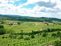 Weinprobe