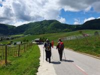 Weinberge von Slovenske Konjice.jpg &ndash; &copy; Sophia Bär (Eberhardt TRAVEL)