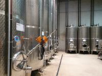 Weingut Zlati Gric.jpg &ndash; &copy; Sophia Bär (Eberhardt TRAVEL)