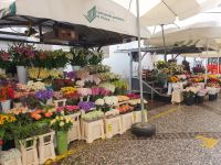 Marktplatz Ljubljana.jpg &ndash; &copy; Sophia Bär (Eberhardt TRAVEL)