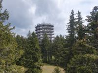 Baumwipfelpfad.jpg &ndash; &copy; Sophia Bär (Eberhardt TRAVEL)
