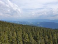 Baumwipfelpfad.jpg &ndash; &copy; Sophia Bär (Eberhardt TRAVEL)