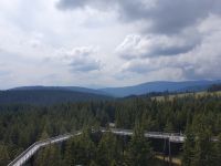 Baumwipfelpfad.jpg &ndash; &copy; Sophia Bär (Eberhardt TRAVEL)