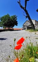 Stanjel &ndash; &copy; Simone Willner (Eberhardt TRAVEL)