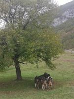 Wichtige Besprechung.... &ndash; &copy; Marta Rass (Eberhardt TRAVEL)