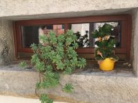 Stillleben auf Smartno Art &ndash; &copy; Marta Rass (Eberhardt TRAVEL)