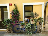 Spaziergang in Izola &ndash; &copy; Simone Willner (Eberhardt TRAVEL)