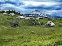 Velika Planina &ndash; &copy; Simone Willner (Eberhardt TRAVEL)