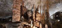 Höhle von Postojna &ndash; &copy; Kerstin Hugel (Eberhardt TRAVEL)